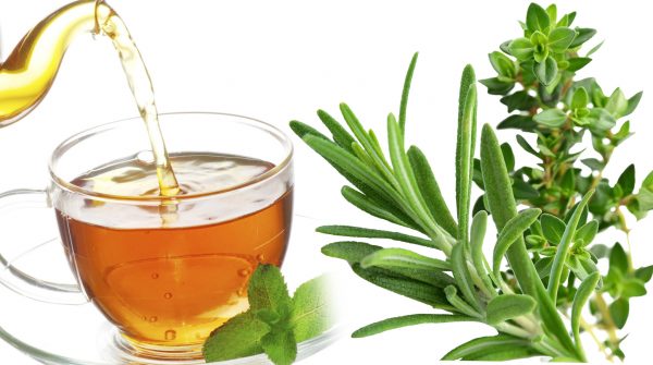 5.1-Boost-your-Consentration-and-Memory-with-Rosemary-Thyme-Tea.jpg CAROL