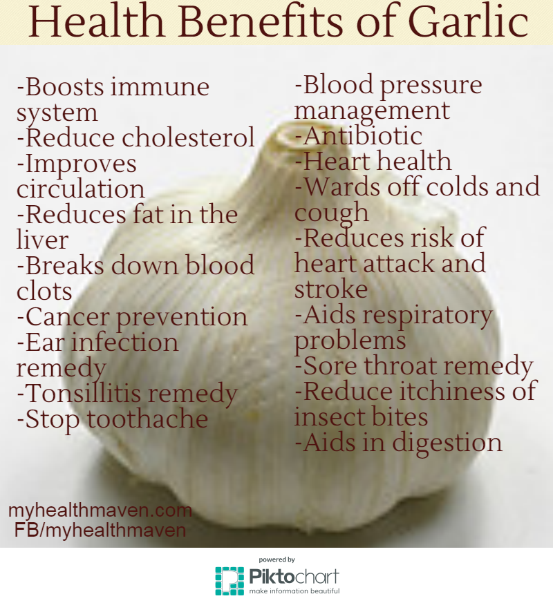 Health Benefits Of Garlic My Health Maven 14760 Hot Sex Picture