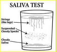 saliva test