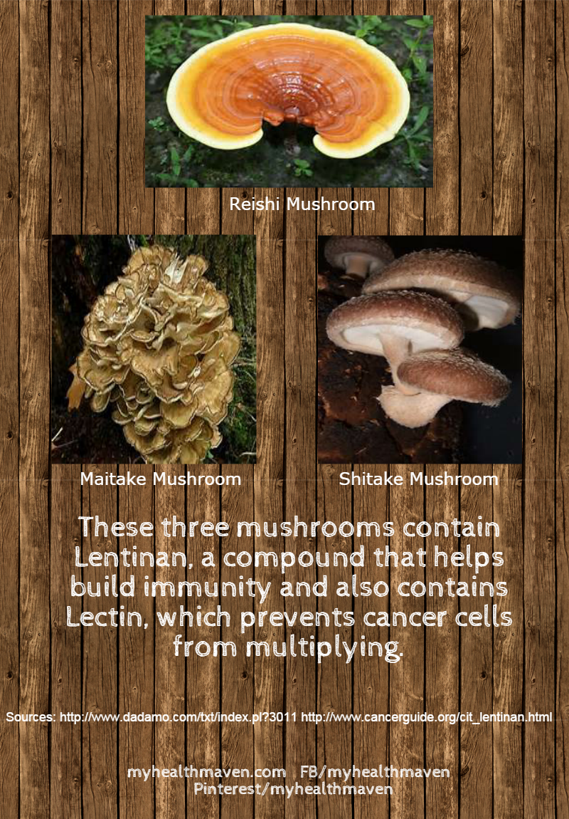 3-mushrooms-lentinan
