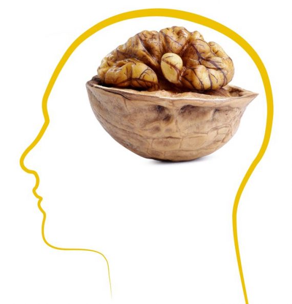 Why Walnut Resembles the Brain It Nourishes My Health Maven
