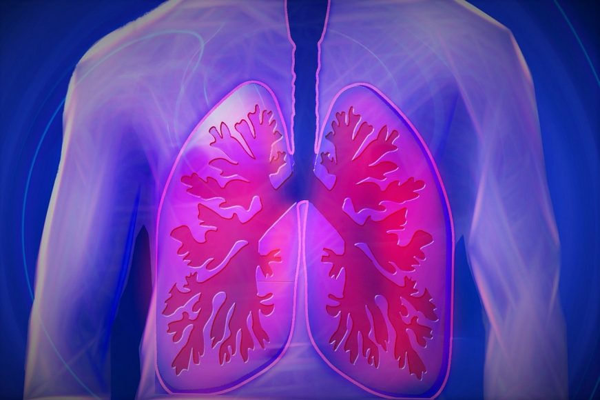 The Healing Properties of Oregano Oil for Lung Congestion My Health Maven