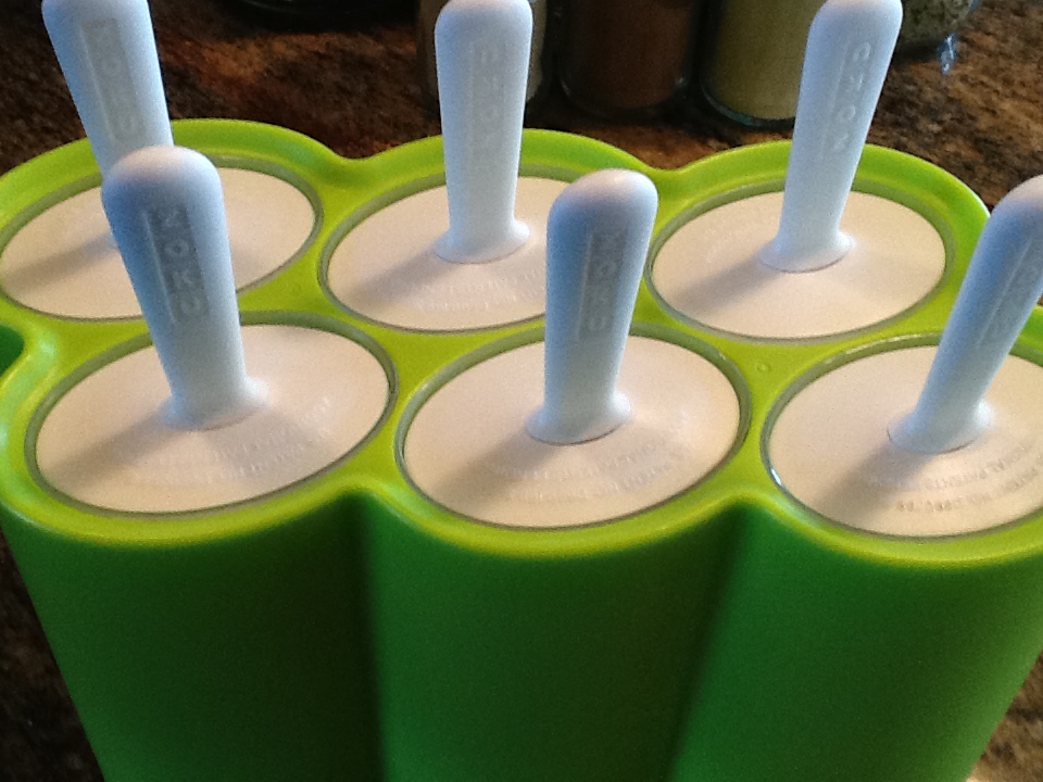 fudgesicle mold with lids