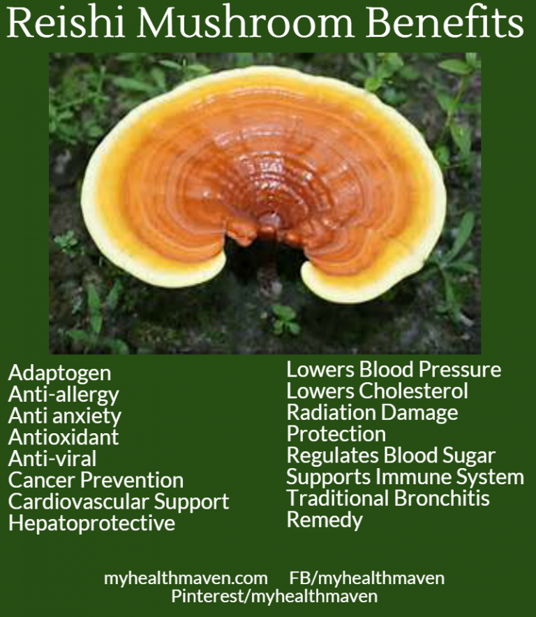The Benefits of Reishi Mushrooms My Health Maven