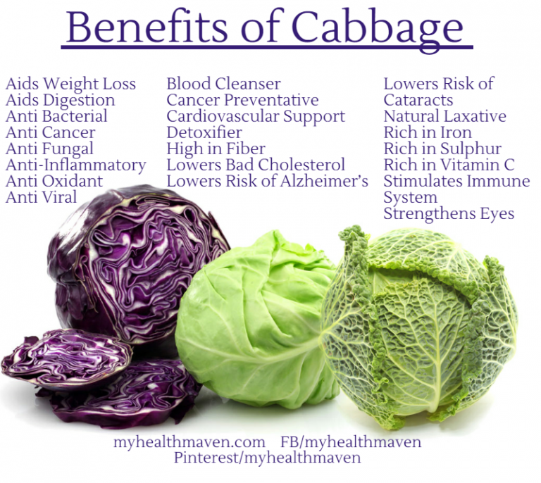 The Health Benefits of Cabbage My Health Maven
