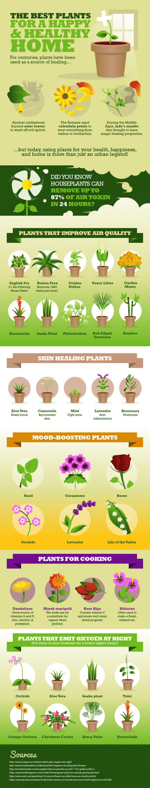 The Best Plants for a Healthy HomeInfographic My Health Maven